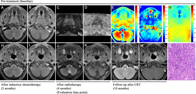 Fig. 7