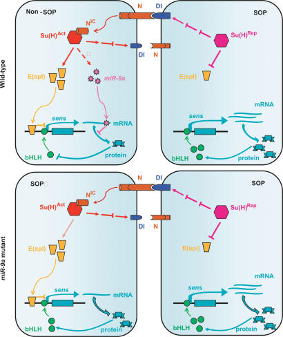 Figure 7.