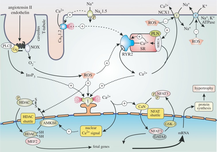 Figure 3.