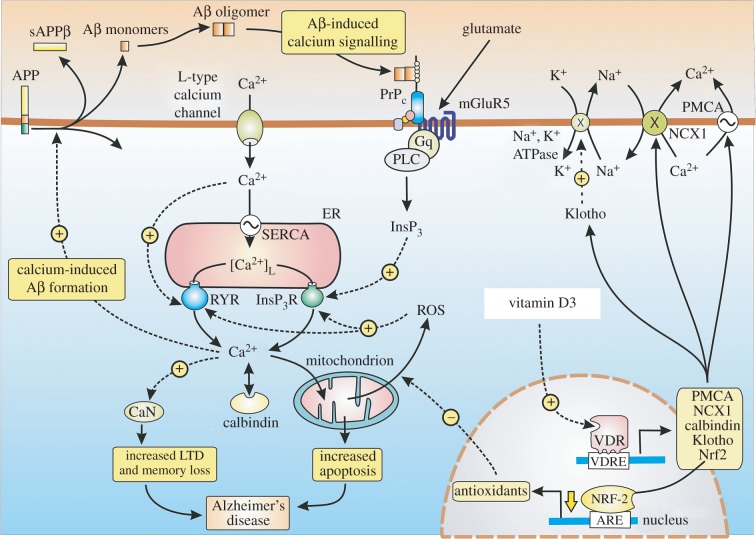 Figure 4.