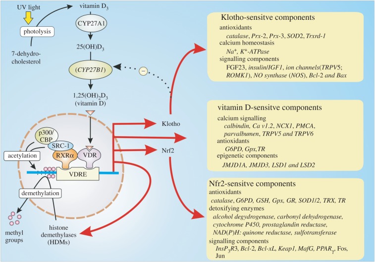 Figure 2.