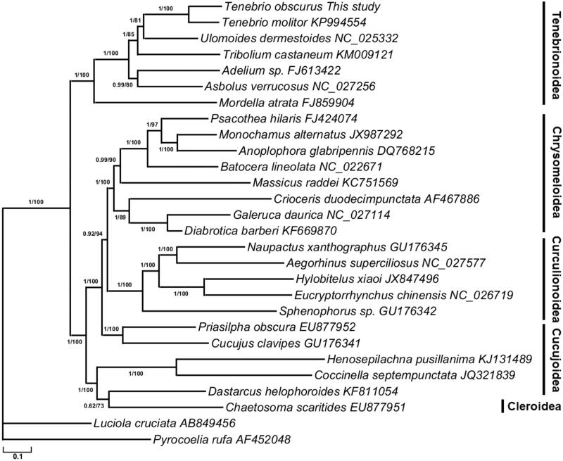 Figure 1.