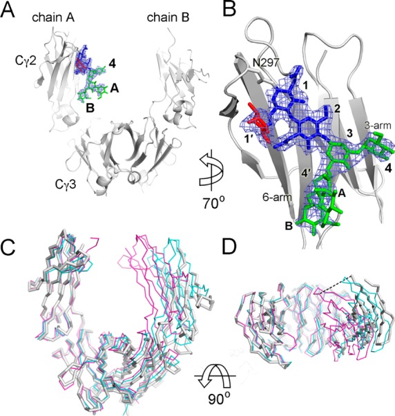 Figure 6
