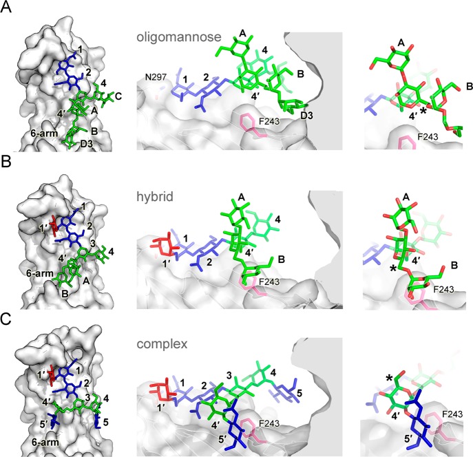 Figure 7