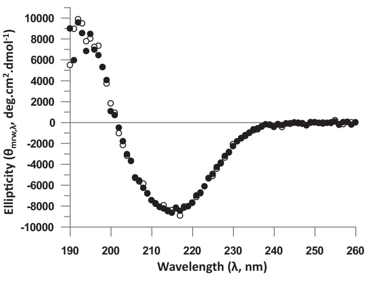 Figure 2—figure supplement 1.