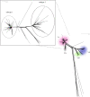 Fig. 1.