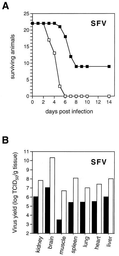 FIG. 5