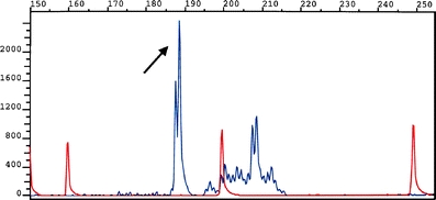 Fig. 2