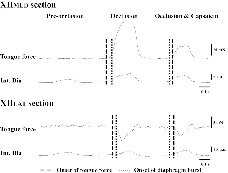 Fig. 3.