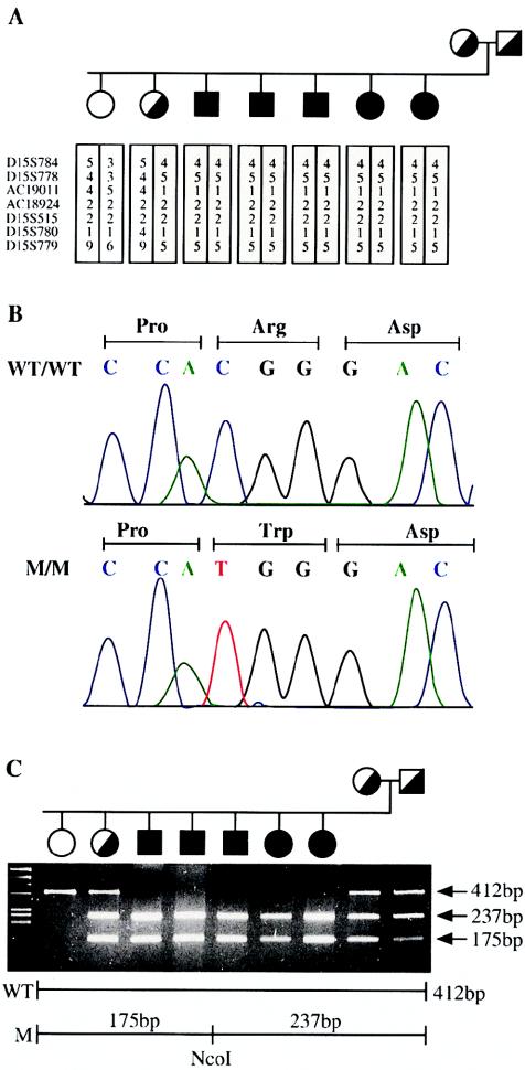 Figure  2