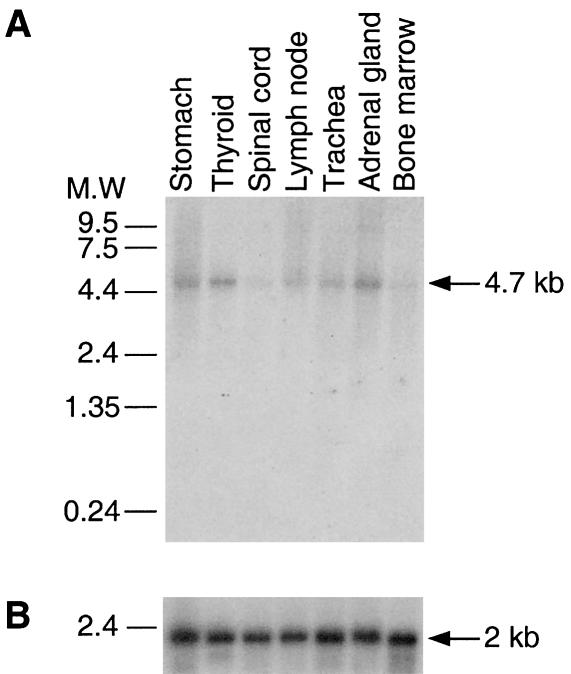 Figure  3