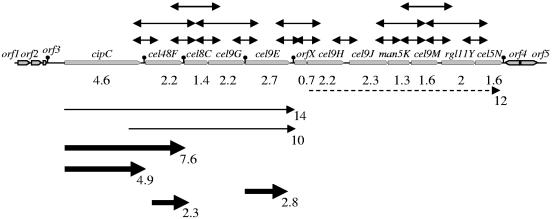 FIG. 4.