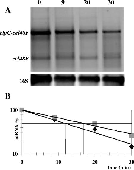 FIG. 8.