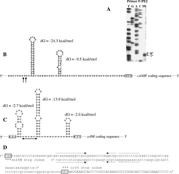 FIG. 7.