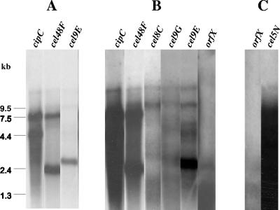 FIG. 2.