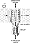 Fig. 8.