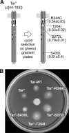 Fig. 4.