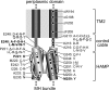 Fig. 7.