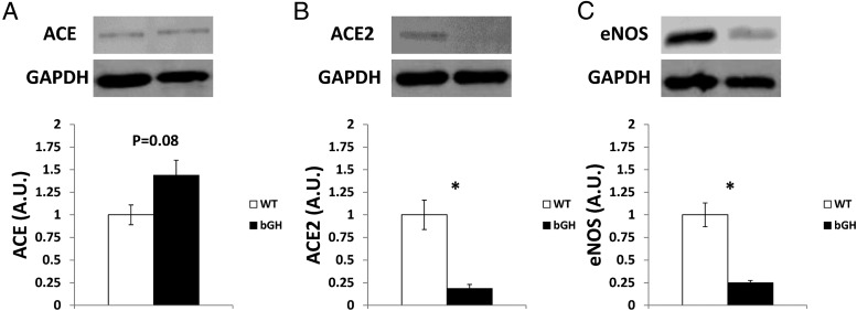 Figure 6.