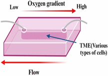 graphic file with name 12938_2024_1226_Fige_HTML.gif