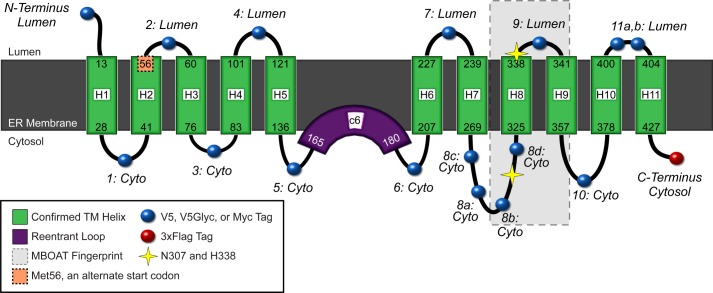 FIGURE 7.