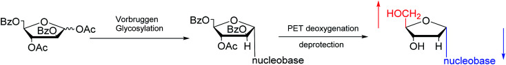 Fig. 12