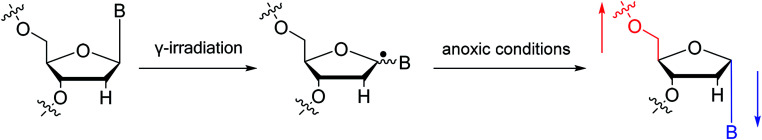 Fig. 16