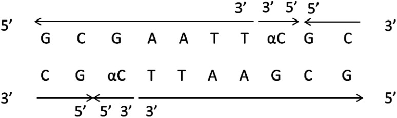 Fig. 15