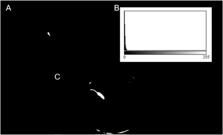 Fig. 6