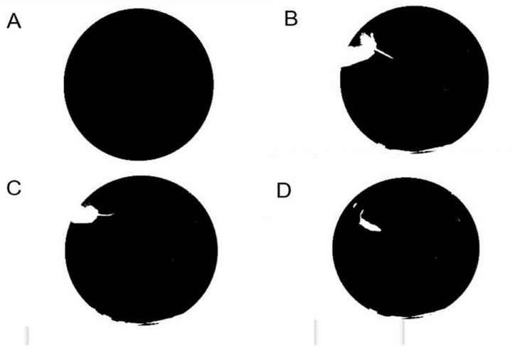 Fig. 7