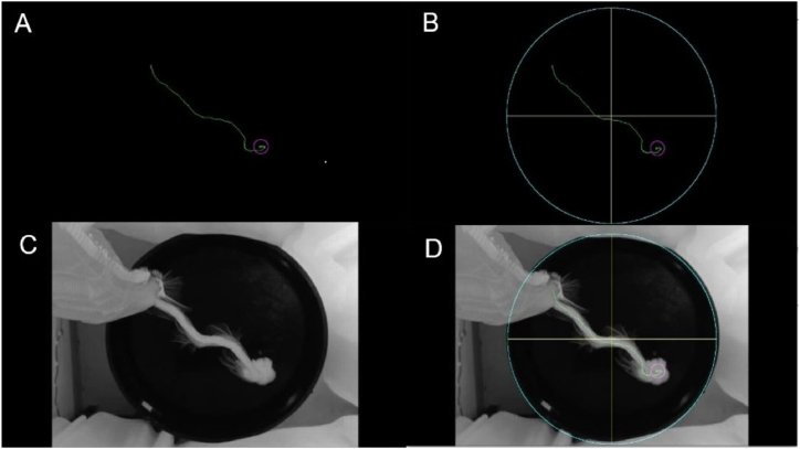 Fig. 8