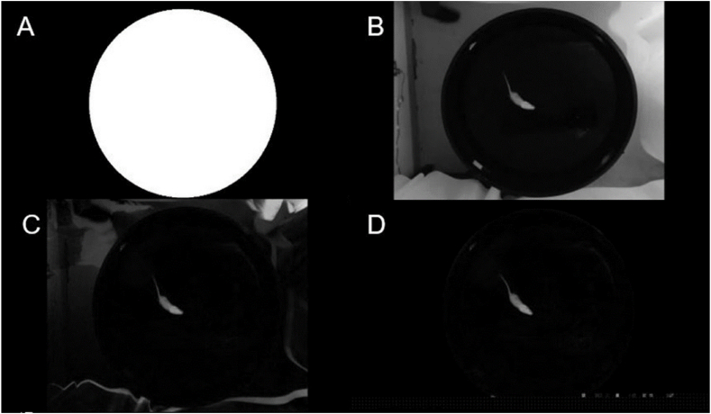 Fig. 5