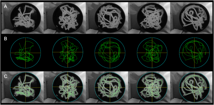 Fig. 11