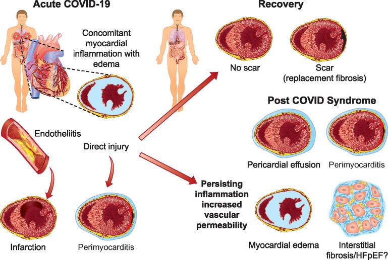 Graphical Abstract