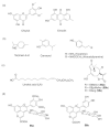 Figure 17