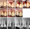 Fig. 6