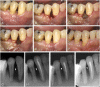 Fig. 8