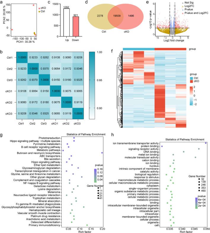 Transcriptomic Regulation by Astrocytic m6A Methylation in the mPFC - PMC