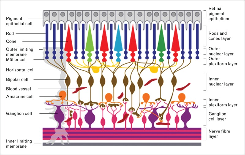 FIGURE 2