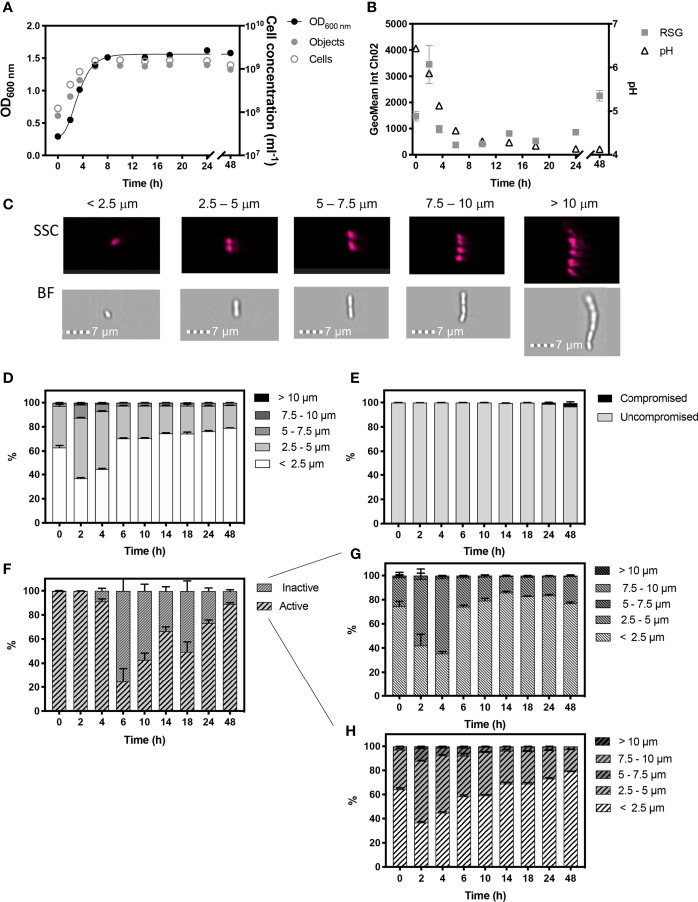 Figure 2