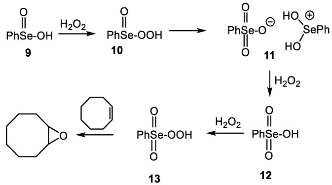 Scheme 2