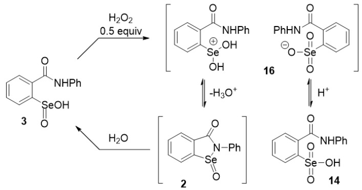 Scheme 4