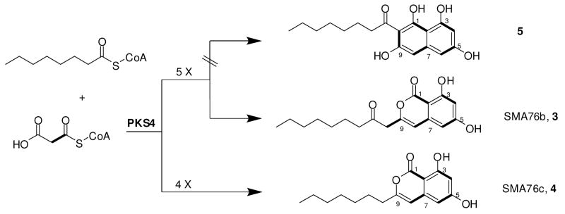 Scheme 2