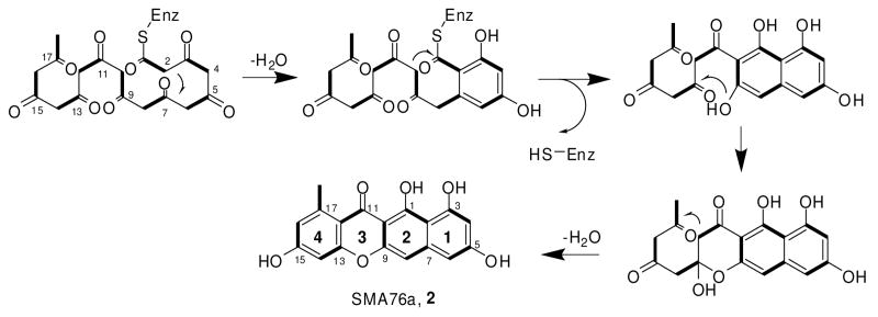 Scheme 1