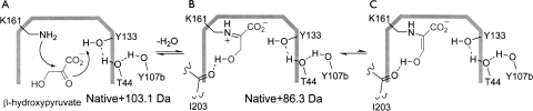 Scheme 3.