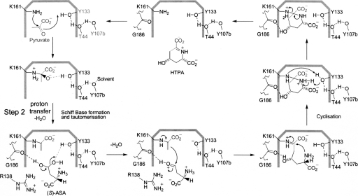 Scheme 2.