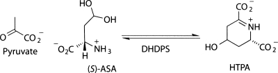 Scheme 1.