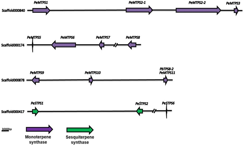 Fig. 4