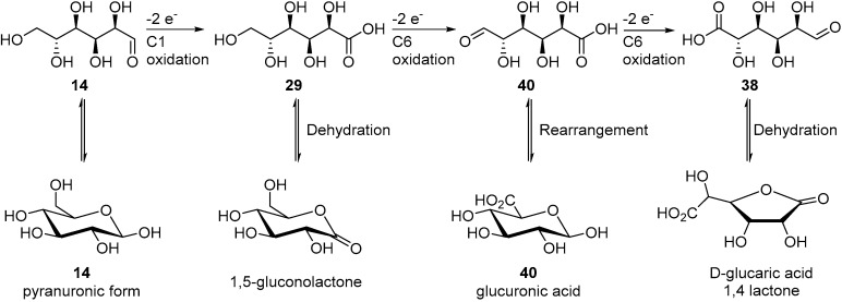 Scheme 20