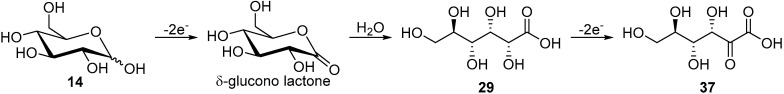 Scheme 13